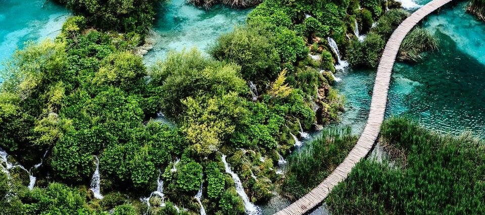 Greenwashing Strategie StudySmarter Magazine